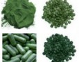 Spirulina Sebagai Natural SuperFood
