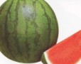  Manfaat Buah Kiwi Yang Tak Anda Ketahui