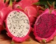  Manfaat Buah Kiwi Yang Tak Anda Ketahui