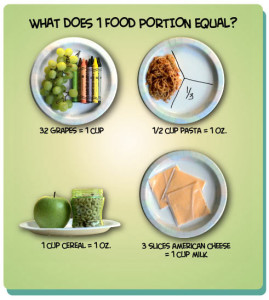 portion size 269x300 Tips Diet Yang Tepat Untuk Remaja
